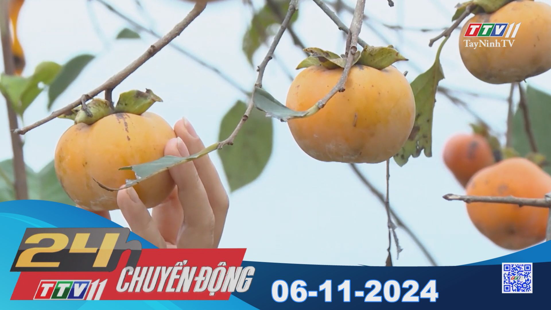 24h Chuyển động 06-11-2024 | Tin tức hôm nay | TayNinhTVEnt